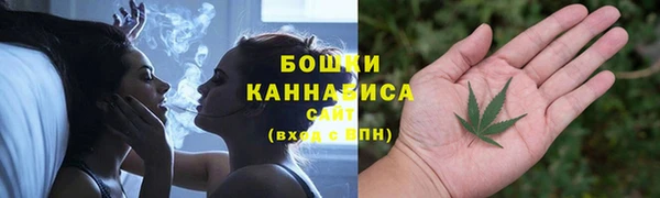 альфа пвп Медногорск