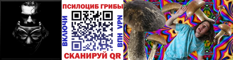Галлюциногенные грибы мицелий  Петровск-Забайкальский 